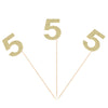 Gold Glitter Fifth Birthday Centerpiece Sticks Number 5 Table Toppers for Kids 5th Birthday Anniversary Flower Picks - Pack of 10
