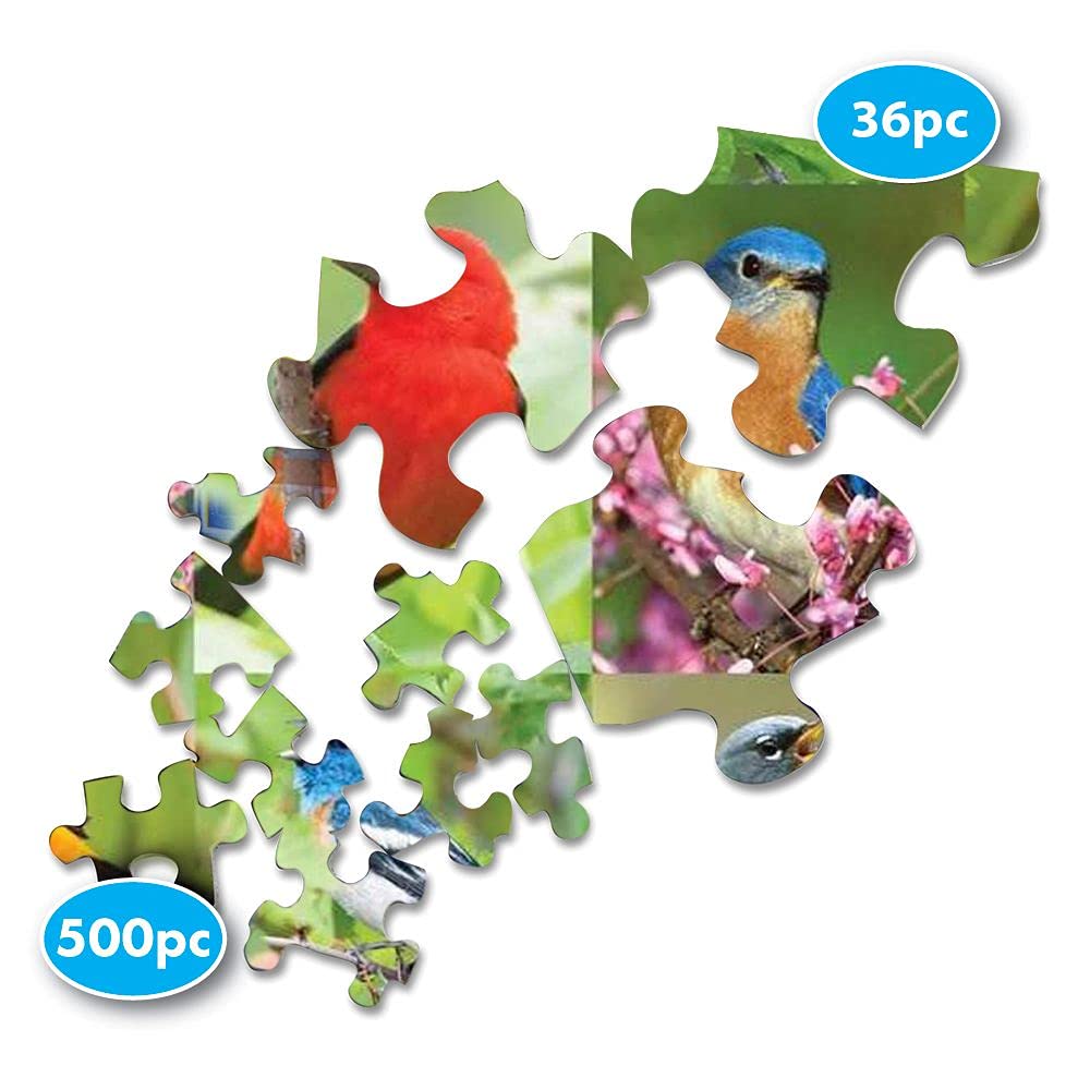 Springbok Puzzle to Remember - Alzheimer & Dementia Activity - 36 Piece Jigsaw Puzzle Birds of a Feather - Made in USA