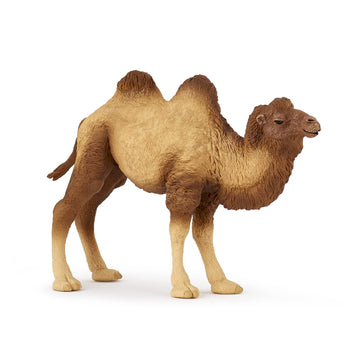 Papo - Realistic Bactrian Camel Figure Toy for Kids - Ages 3+ - Wild Life Collection - Educational Play Exotic Animals - Gift Idea Toy for Girls