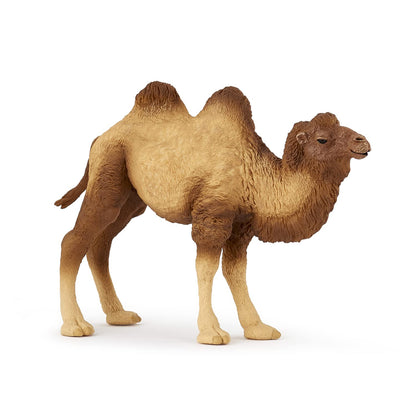 Papo - Realistic Bactrian Camel Figure Toy for Kids - Ages 3+ - Wild Life Collection - Educational Play Exotic Animals - Gift Idea Toy for Girls