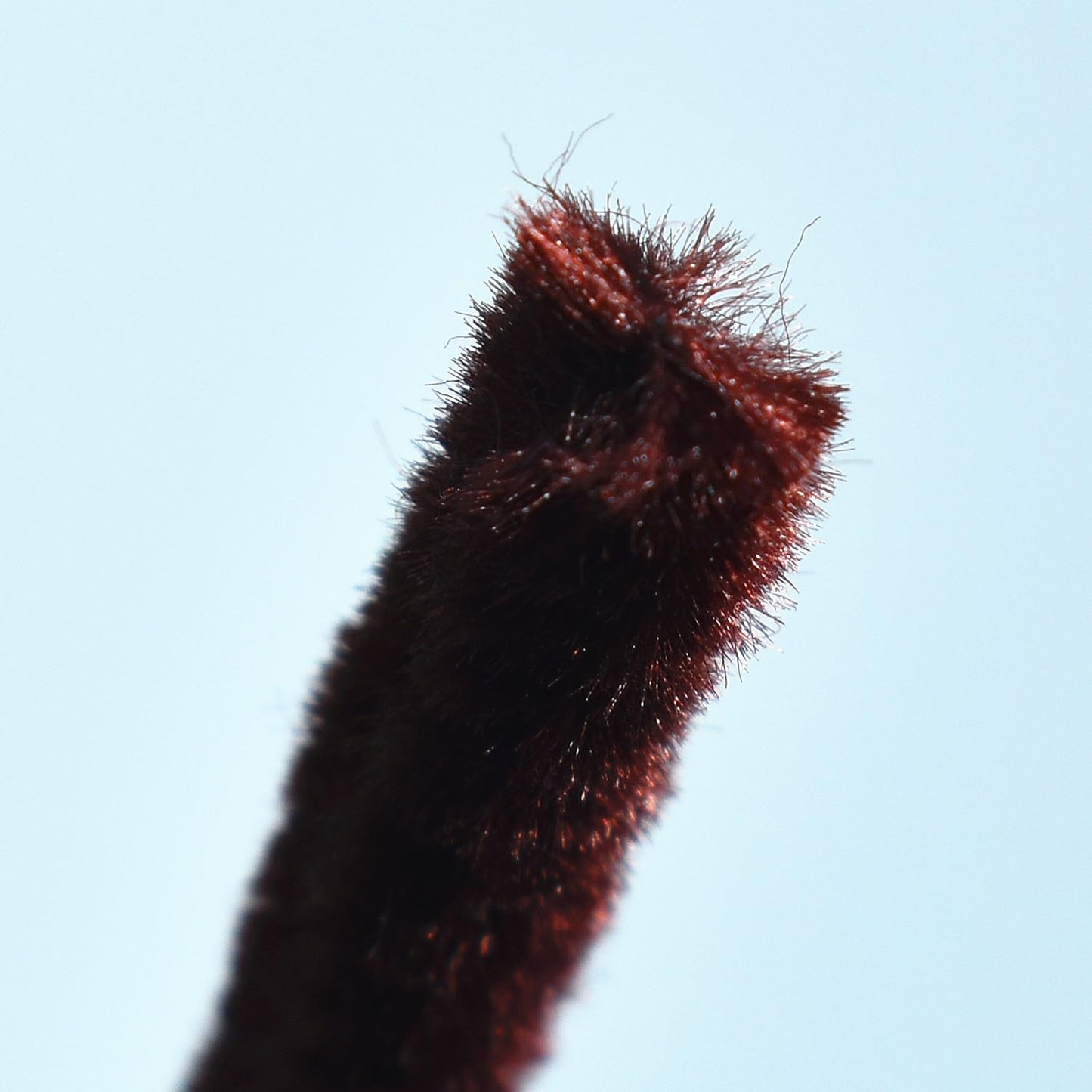 Brown Pipe Cleaners Chenille Stems(100 Pack) for DIY Art Craft Decorations Creative 12 inch