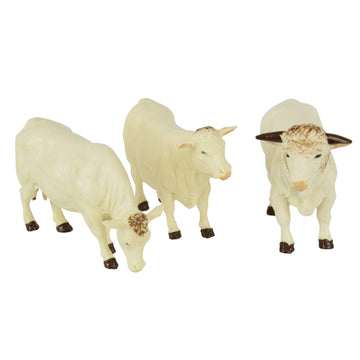 2019 43240 Charolais Cows