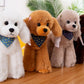 OPHRBU Poodle Plush Toys, Soft and Cute Poodle Plush Toys, Pillows, Cushions, the Best Gift for Your Family and Friends. 1 pc. (White 12 inches)