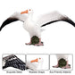 FLORMOON Albatross Figure Realistic Animal Figurines Early Educational Bird Toy Science Project Christmas Birthday Cake Topper for Kids Toddler