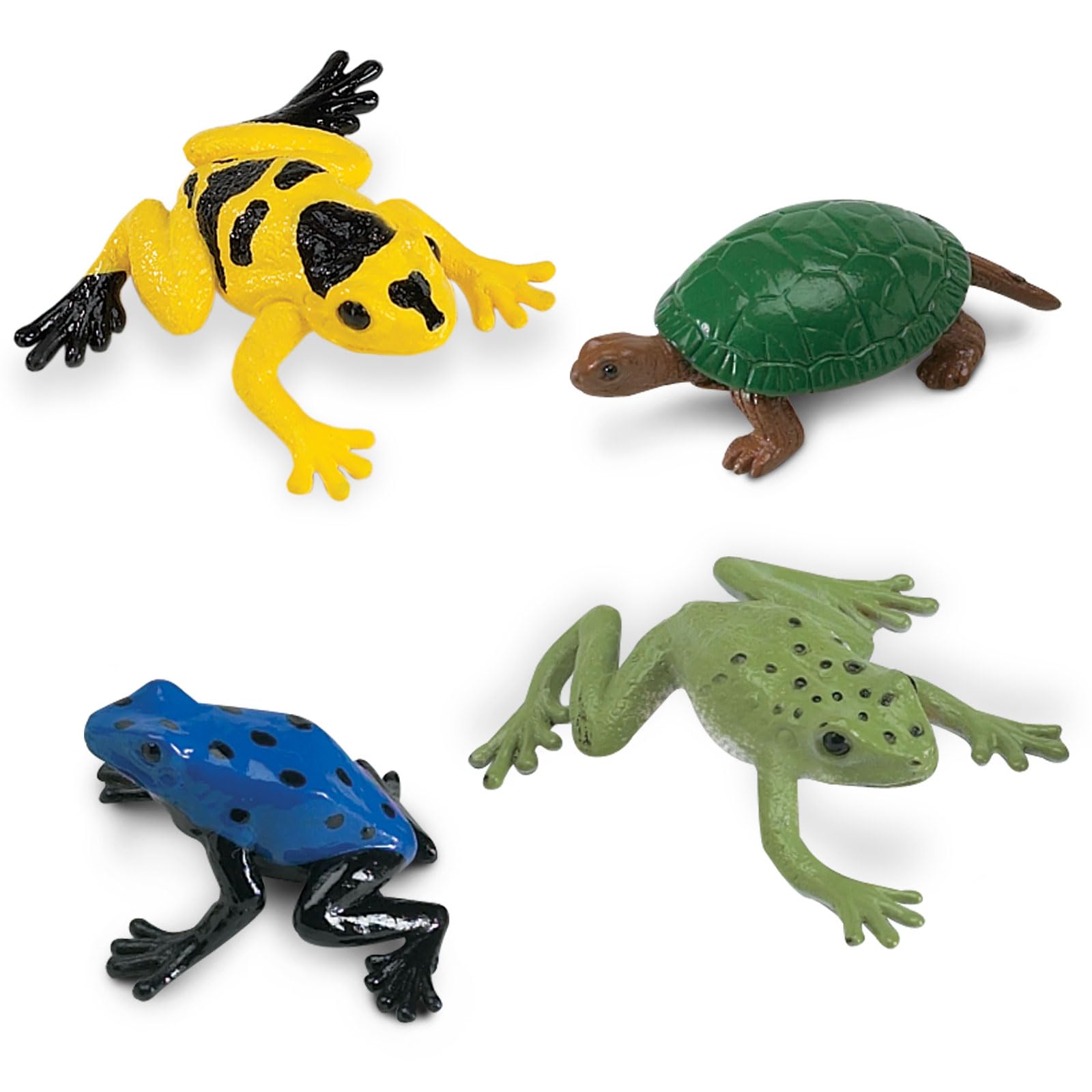 Safari Ltd. Frogs & Turtles TOOB - 12 Mini Frog and Turtle Figurines - Educational Toy Set for Boys, Girls,and Kids Ages 3+