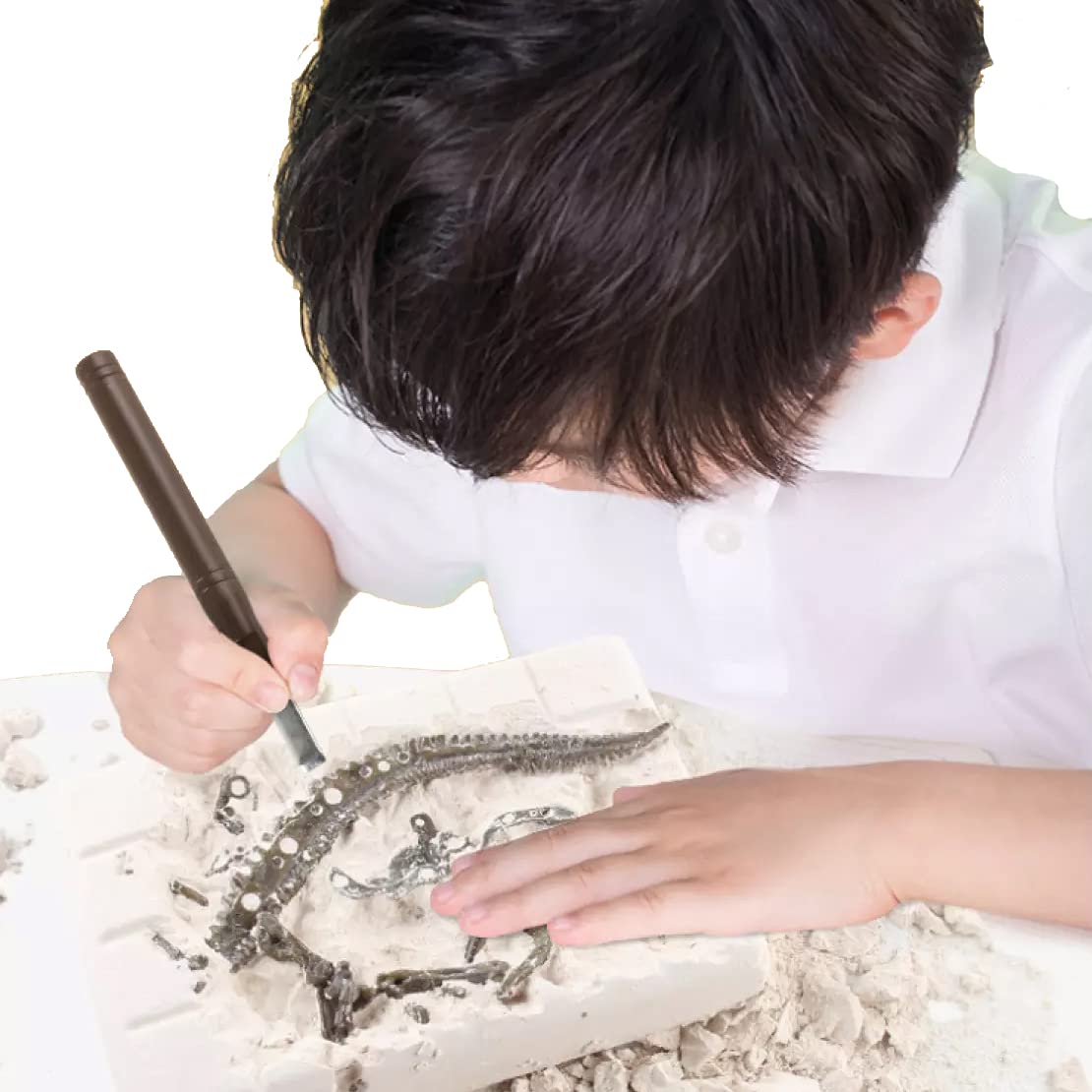Dig & Discover Dino Stegosaurus Dinosaur Skeleton 3D Fossil Bones Excavation, Science Educational Toy Kit for Kids, Children