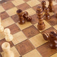 Folding Storage Wooden Chess Board Sets - 3 in 1 Chess Board Game for Adults and Kids (Backgammon, Checkers), Exquisite Wooden Chess Set