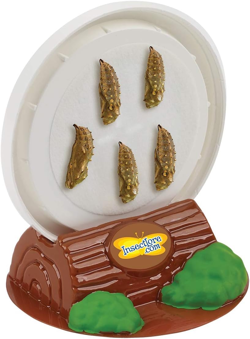 Insect Lore Butterfly Garden with 5 Live Baby Caterpillars - STEM Activity Journal, Habitat, Chrys-A-Lid Holder and Feeder Included | Raise