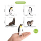 Volnau Sea Creature Toys Figures 8PCS Antarctica Ocean Animals Figurines for Toddlers Kids Christmas Decoration Fish Gift Plastic Preschool Pack
