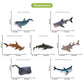 Volnau Sea Creature Toys Figures 13PCS Atlantic Ocean Shark Animals Figurines for Toddlers Kids Christmas Decoration Gift Plastic Fish Preschool Pack
