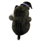 Squishmallows 10 Inch Hug Mees Official KellyToy Halloween 2023 (Autumn The Black Cat)