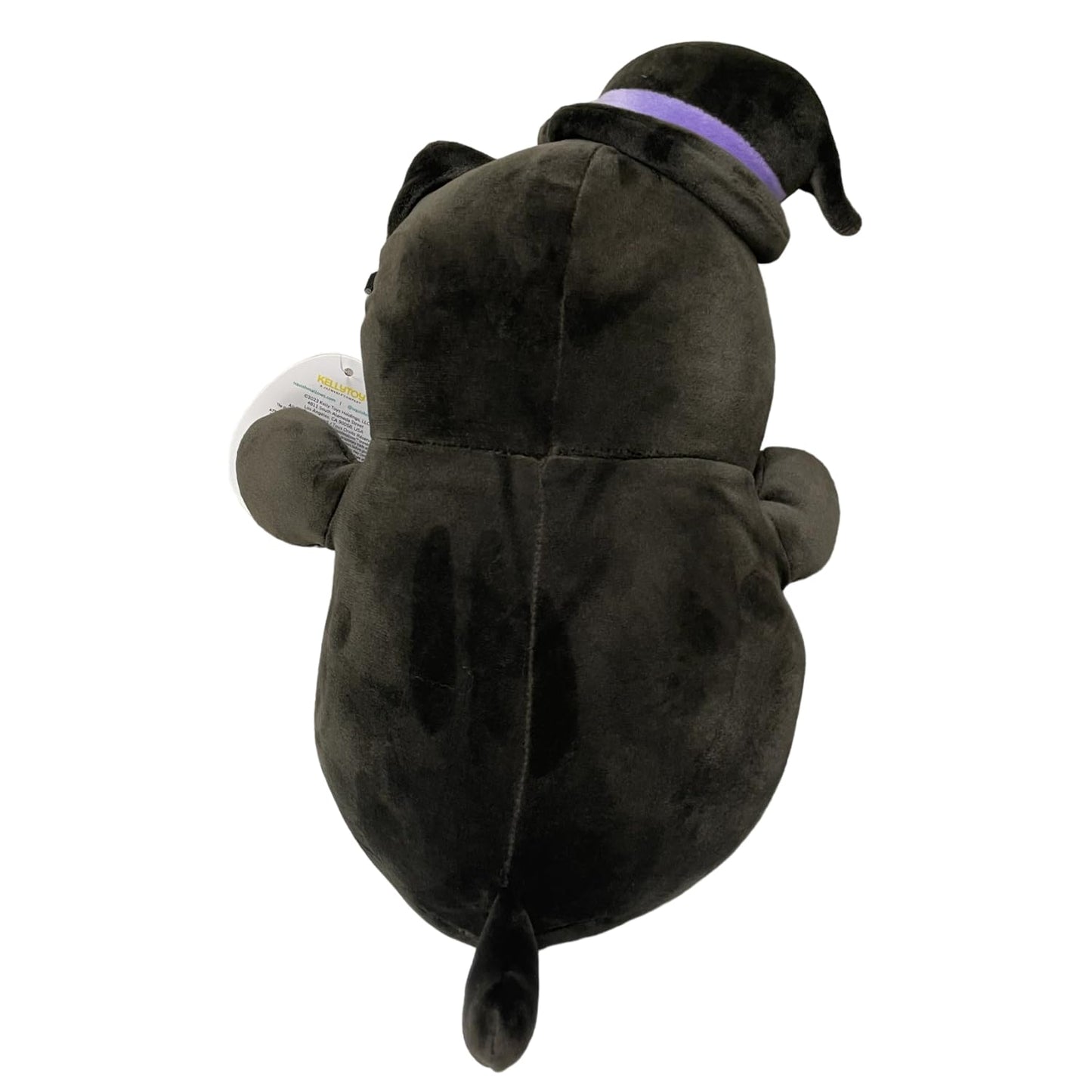 Squishmallows 10 Inch Hug Mees Official KellyToy Halloween 2023 (Autumn The Black Cat)