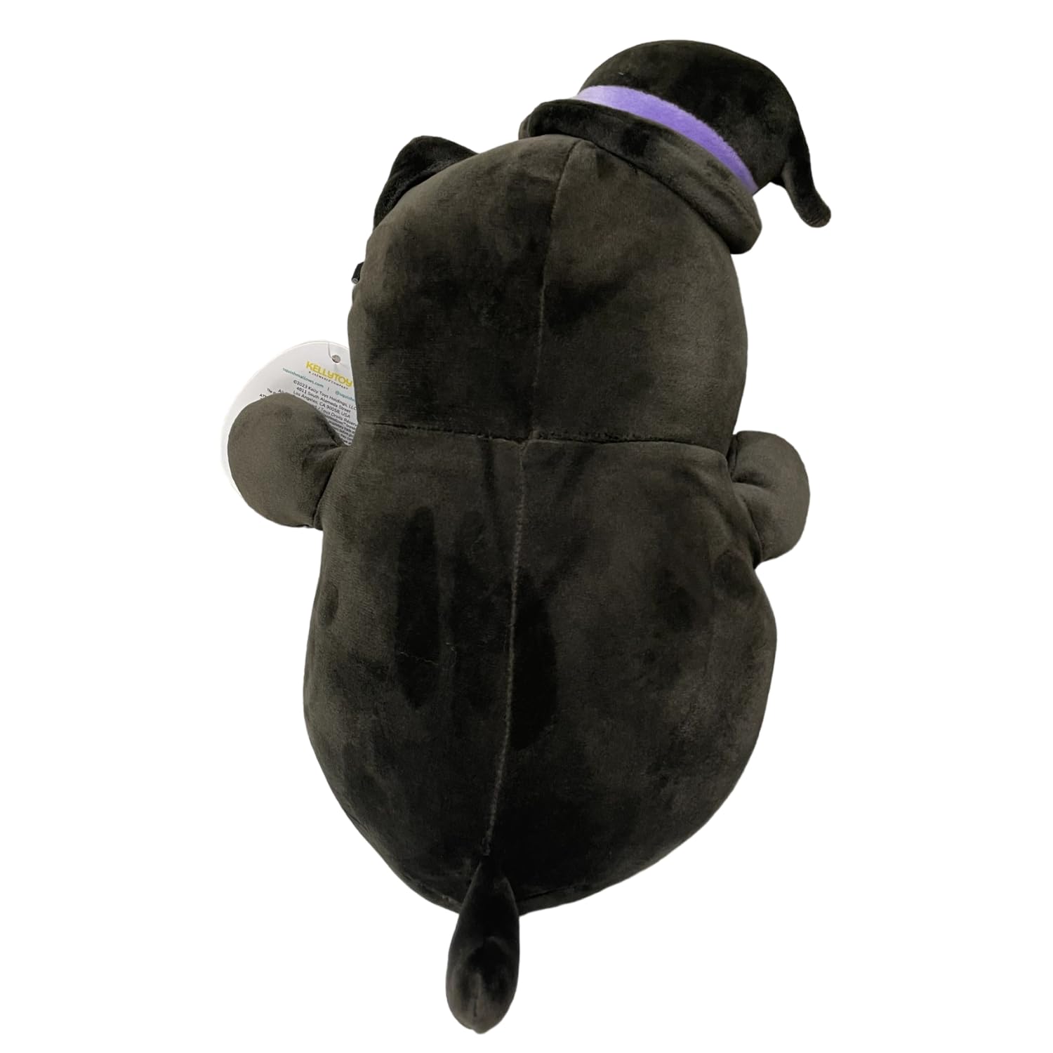 Squishmallows 10 Inch Hug Mees Official KellyToy Halloween 2023 (Autumn The Black Cat)