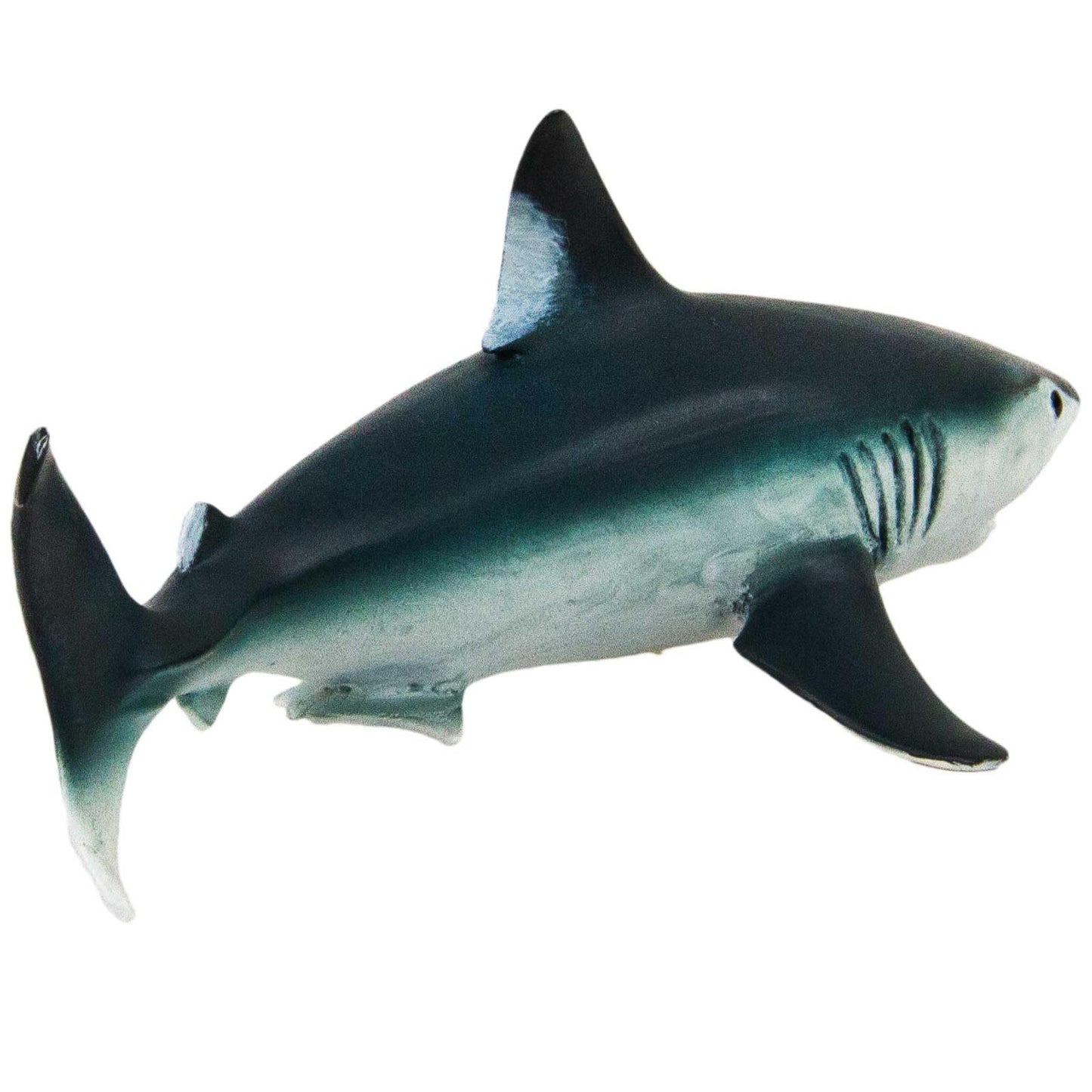 Safari Ltd. Porbeagle Shark - Realistic 5.5" Fish Figure - Educational Toy for Boys, Girls, and Kids Ages 3+