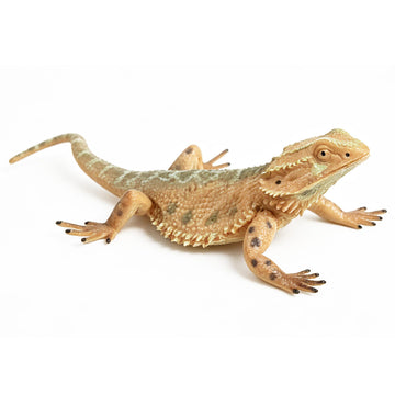 Rich Boxer 5'' Lizard Figurine Bearded Dragon Animal Figurine Plastic Lizard Reptile Model for Home Garden Decoration