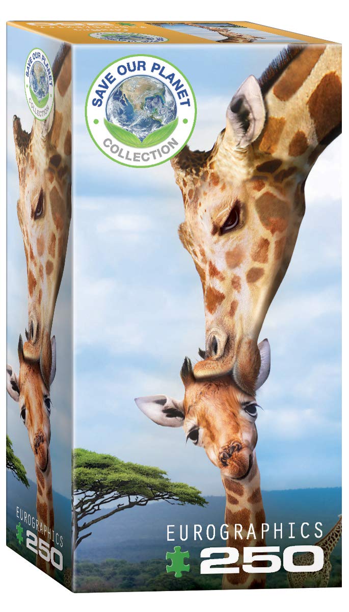 Giraffes