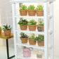 Mini House Decoration Plant Pots Miniature Green Potted Bonsai Models Decor,1:12 Miniature Plant