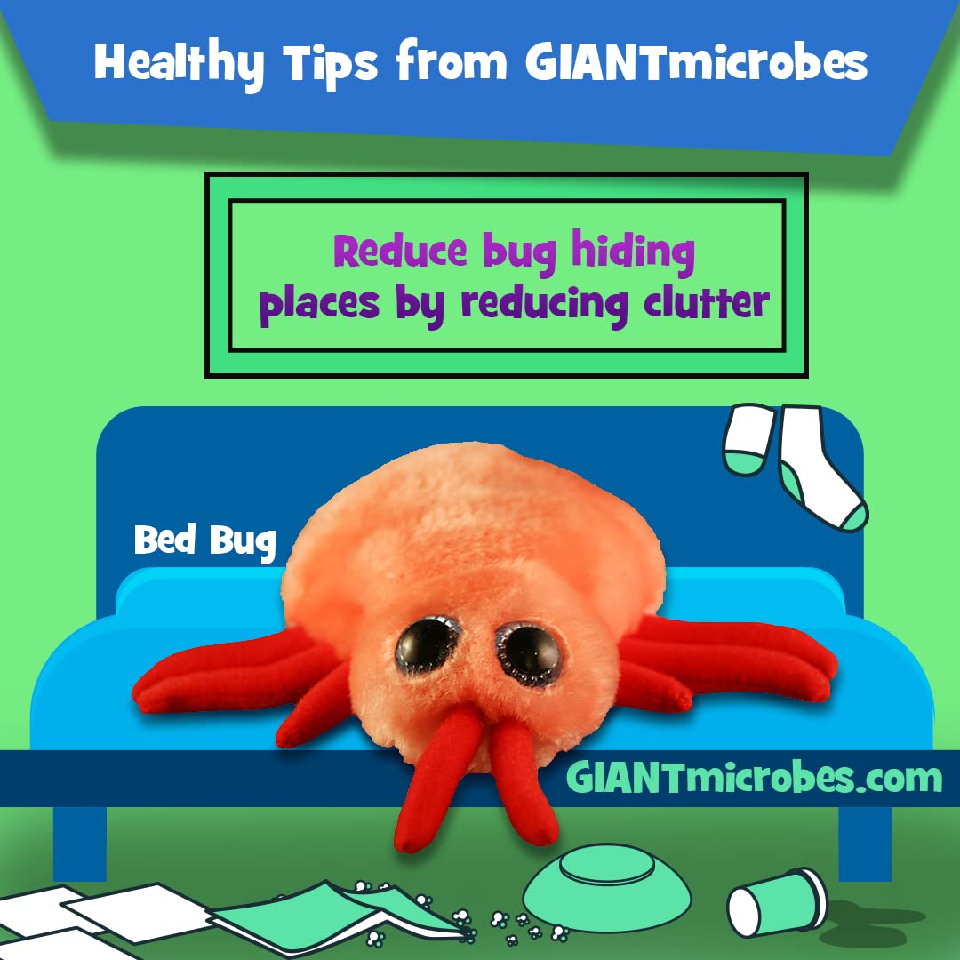 GIANTmicrobes Bed Bug Plush - Learn About This Common Crawler with This Cuddly Plush, Unique Gift for Friends, Family, Educators, Students