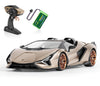 MIEBELY Lamborghini Remote Control Car, 1:16 Scale Lambo Toy Car 7.4V 500mAh Officially Licensed 12Km/h Rc Cars with Led Light 2.4Ghz Model Car