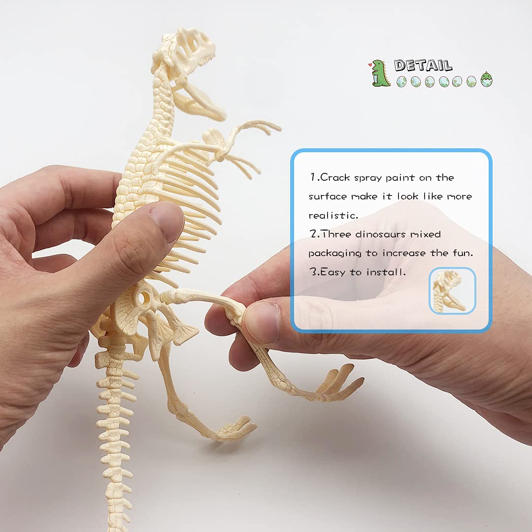 YODAR 3 Pcs Dinosaur Fossil Skeleton DIY Toys 8.7 Inch Educational Puzzles Model Set for Kids Over 8 Years Old