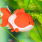 ELAINREN Ultra-Soft Red Goldfish Plush Pillow Cuddly Bubble Fish Stuffed Animals Toy Lifelike 3D Carp Plushies Cushion Decor Gifts/13.8''