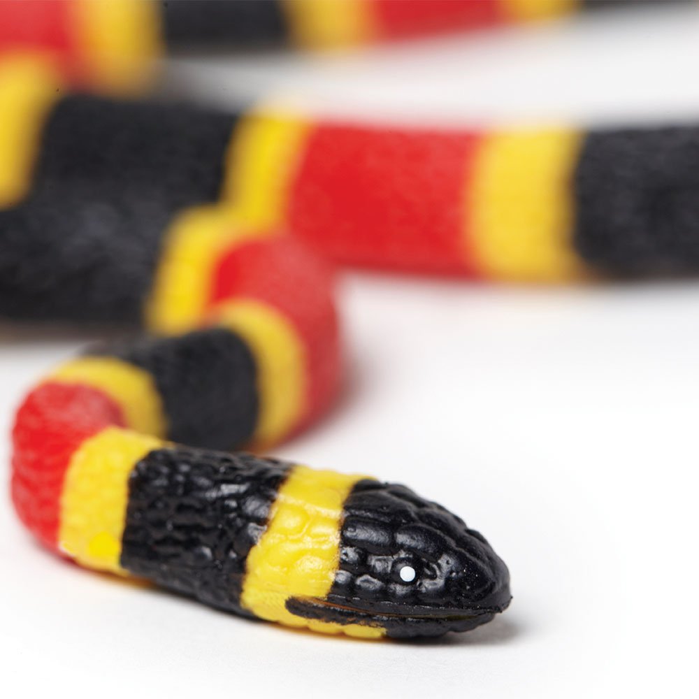 Safari Ltd. Coral Snake Baby Figurine - Detailed 10.75" Plastic Model Figure - Fun Educational Play Toy for Boys, Girls & Kids Ages 3+