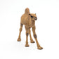 Papo - Realistic Dromedary Figure - Ages 3+ - Wild Life Collection - Educational Play Desert Animals - Gift Idea Toy for Girls and Boys