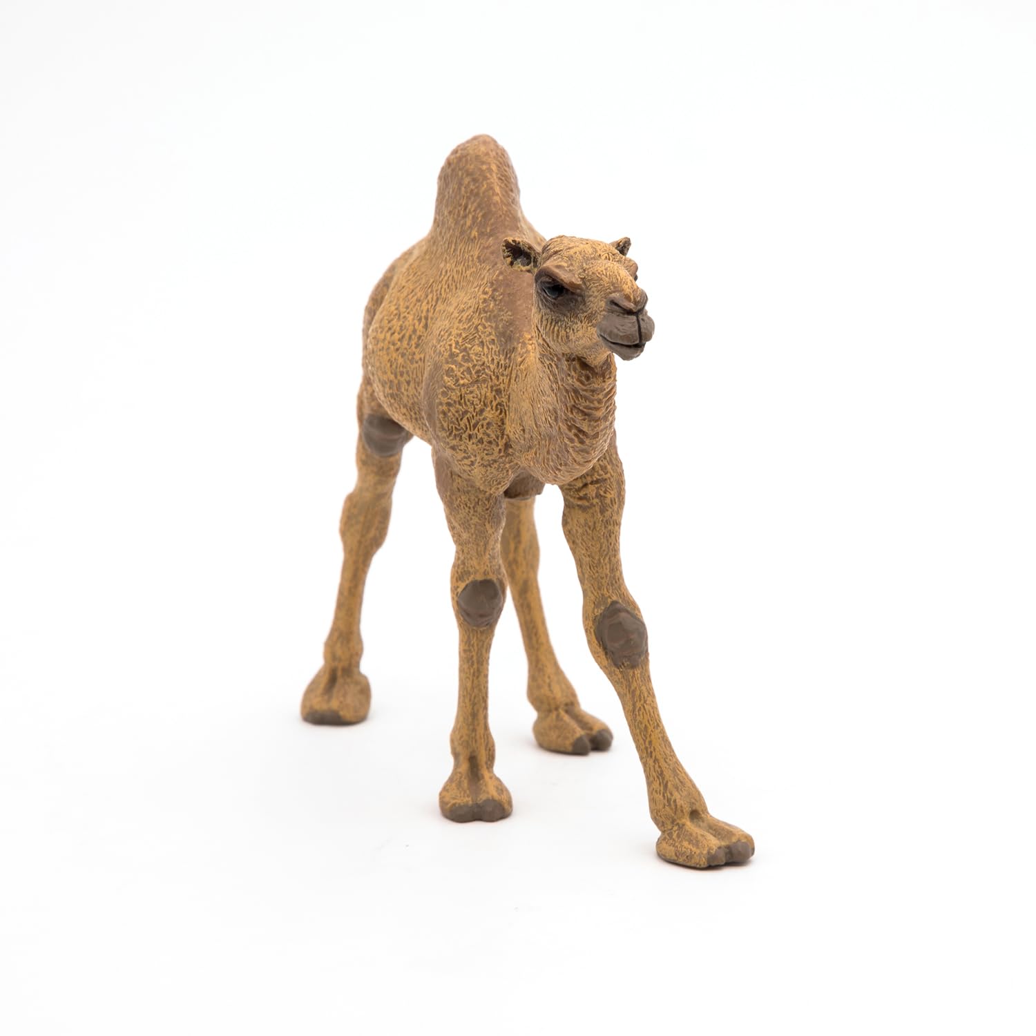 Papo - Realistic Dromedary Figure - Ages 3+ - Wild Life Collection - Educational Play Desert Animals - Gift Idea Toy for Girls and Boys