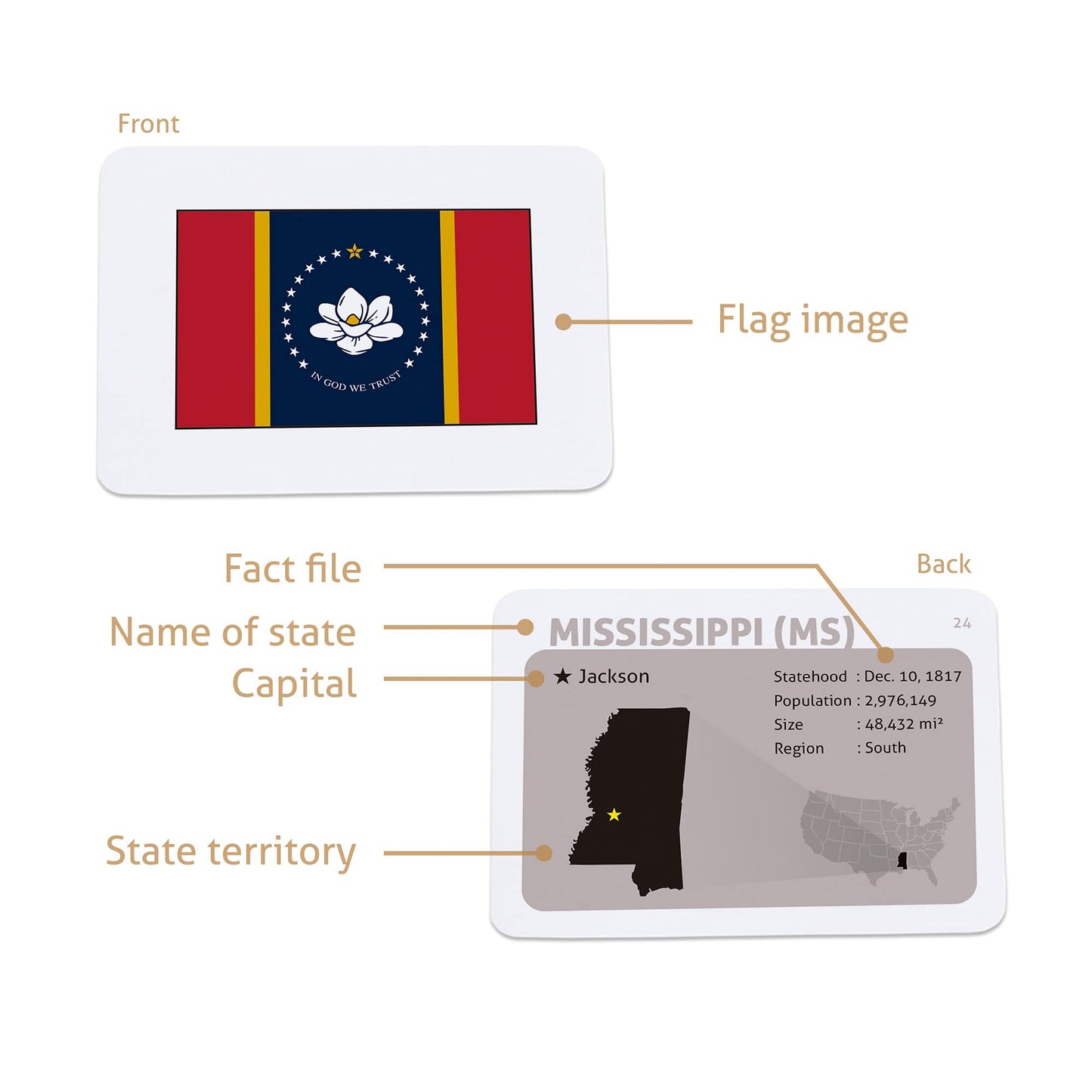 CARDDIA | U.S. State Flags Flashcards | 50 States with Names, Abbreviations, Capitals & Facts | Educational & Durable | Geography Learning Tools