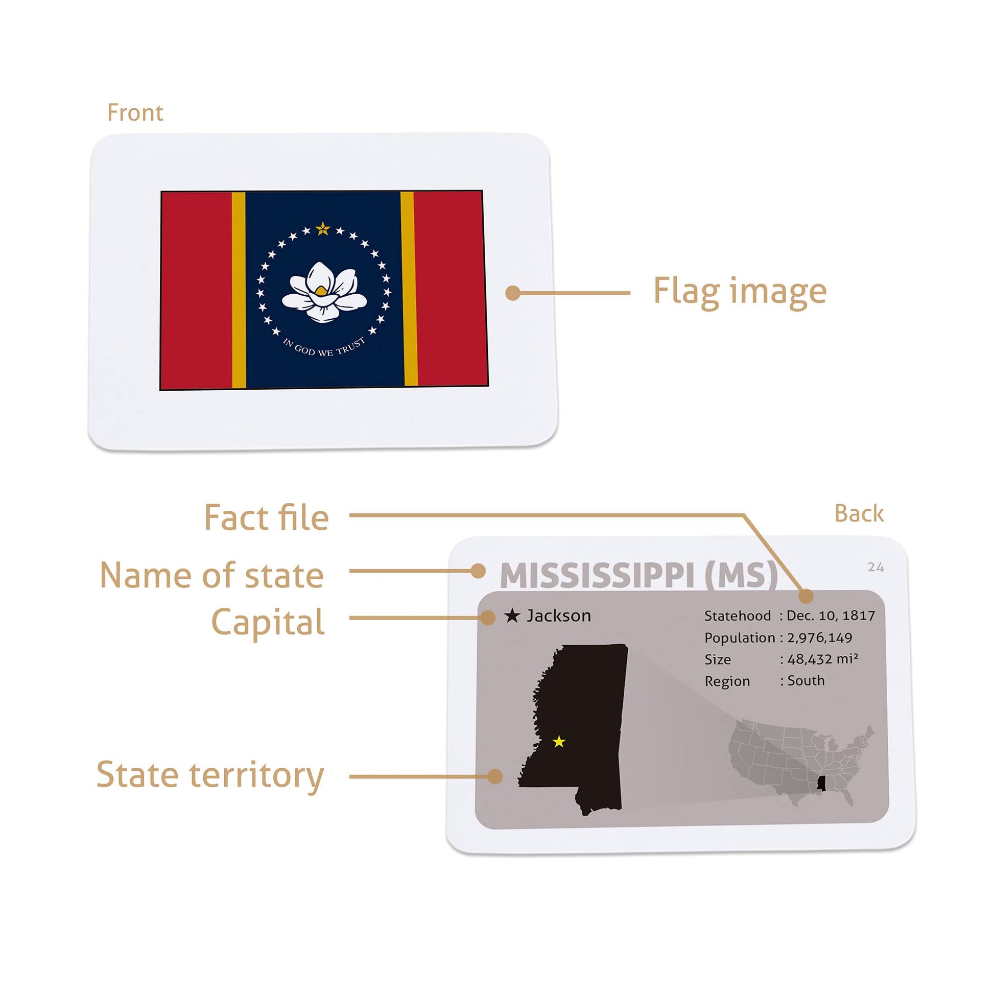 CARDDIA | U.S. State Flags Flashcards | 50 States with Names, Abbreviations, Capitals & Facts | Educational & Durable | Geography Learning Tools