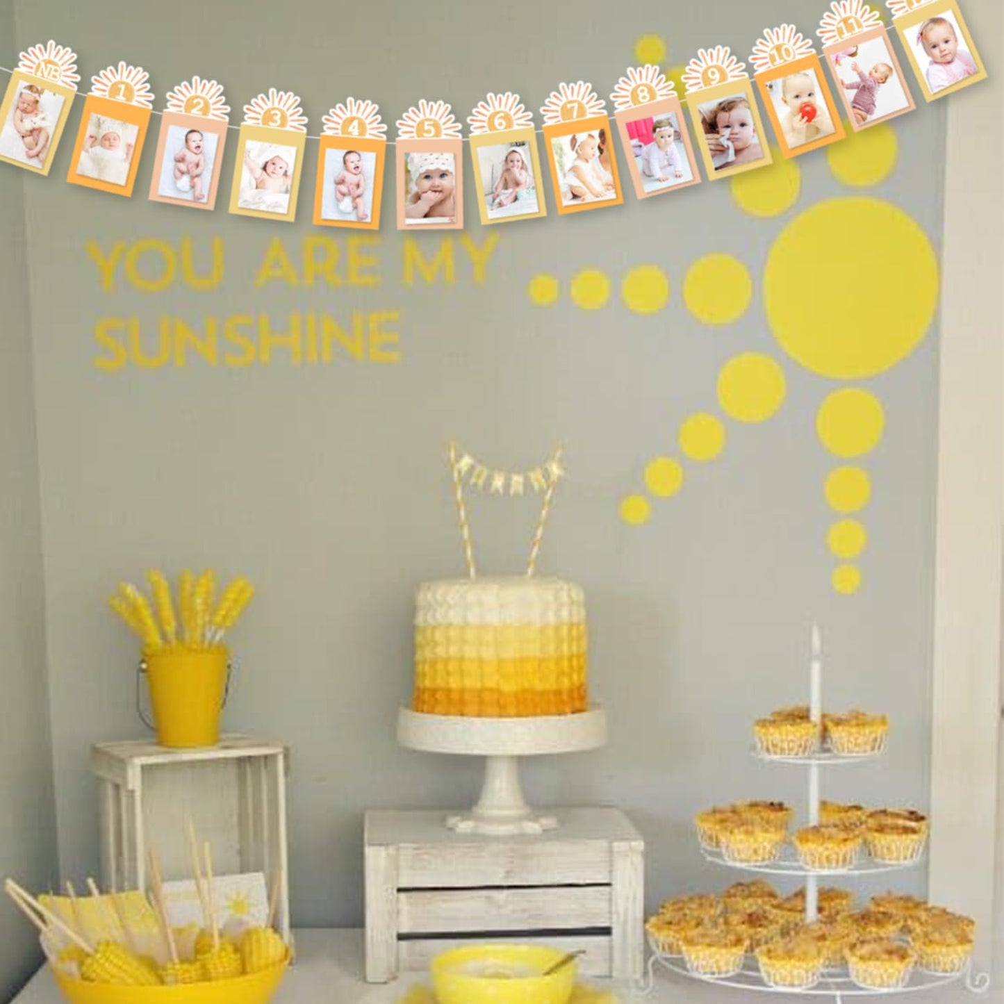 Gankbite Sunshine Girl 12 Month Photo Banner First Trip Decor Around The Sun Boho One 1st Birthday Decoration