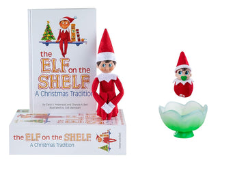 The Elf on the Shelf® Blue Eyed Boy & Matching Frost Pip™ Mini Bloom
