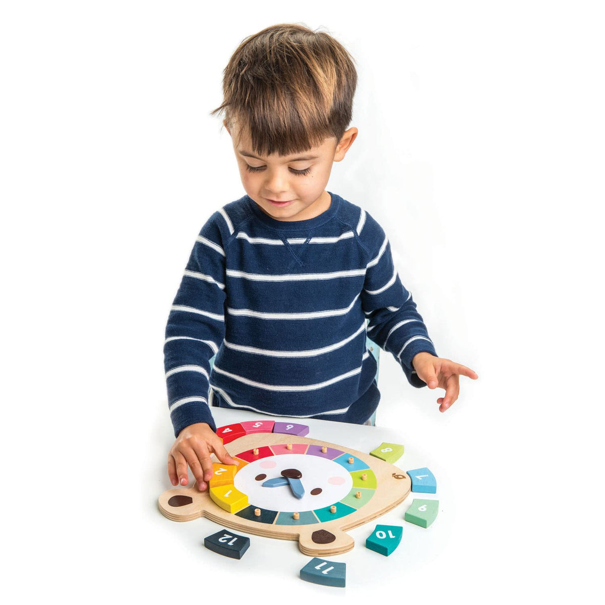 Tender Leaf Toys - 12 Pcs Bear Colors Clock, Early Learning Time, Educational Learning Clock Toy - Wooden Clock, Lovely Shapes - Cognitive Toy