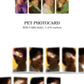 E'LAST - ROAR [GRAY ver.] (3rd Mini Album) Album+BolsVos K-POP eBook (21p),1EA BolsVos Sticker for Toploader, Photocards