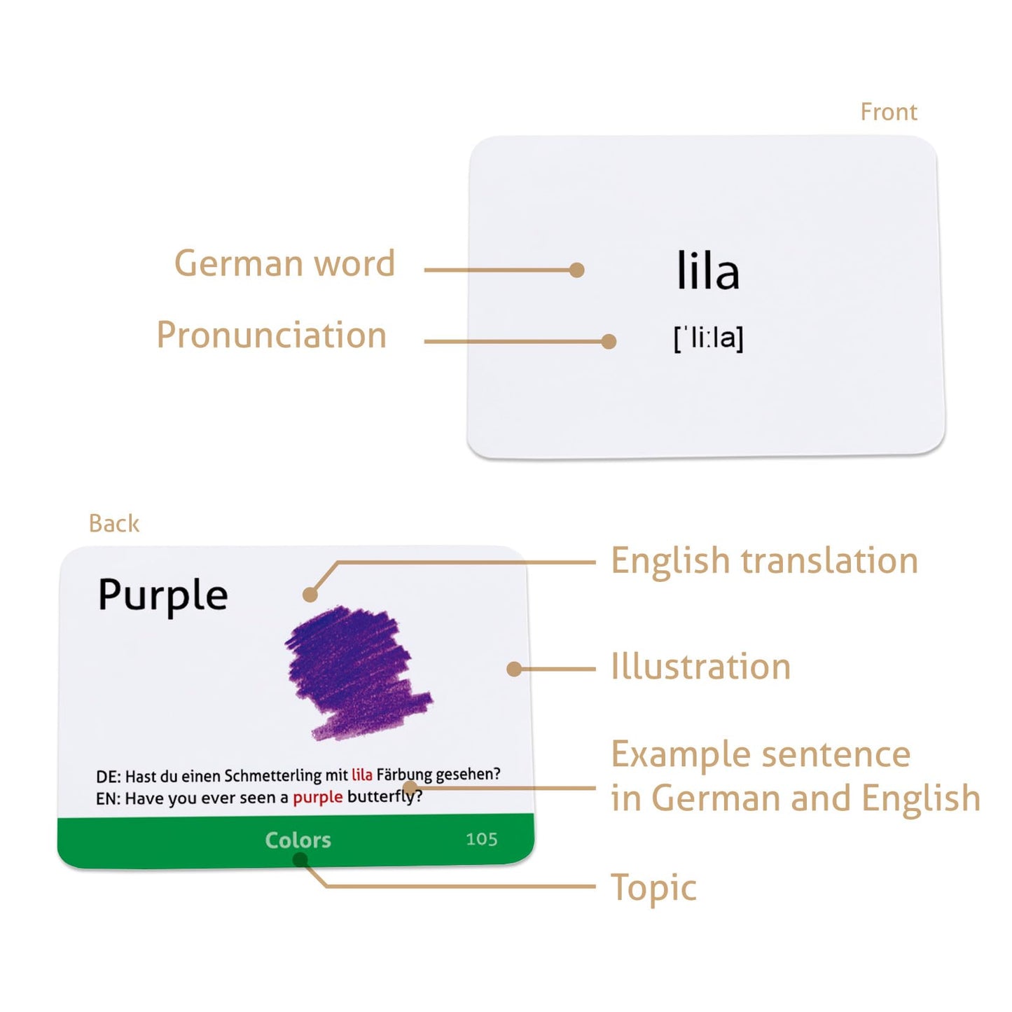 CARDDIA | German Vocabulary Educational Flashcards for Beginners | Pictures, Example Sentences