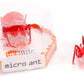 HEXBUG Micro Ant - Electronic Autonomous Robotic Pet - High Speed Robot - Toy for Kids Ages 8 and Up - Colors May Vary