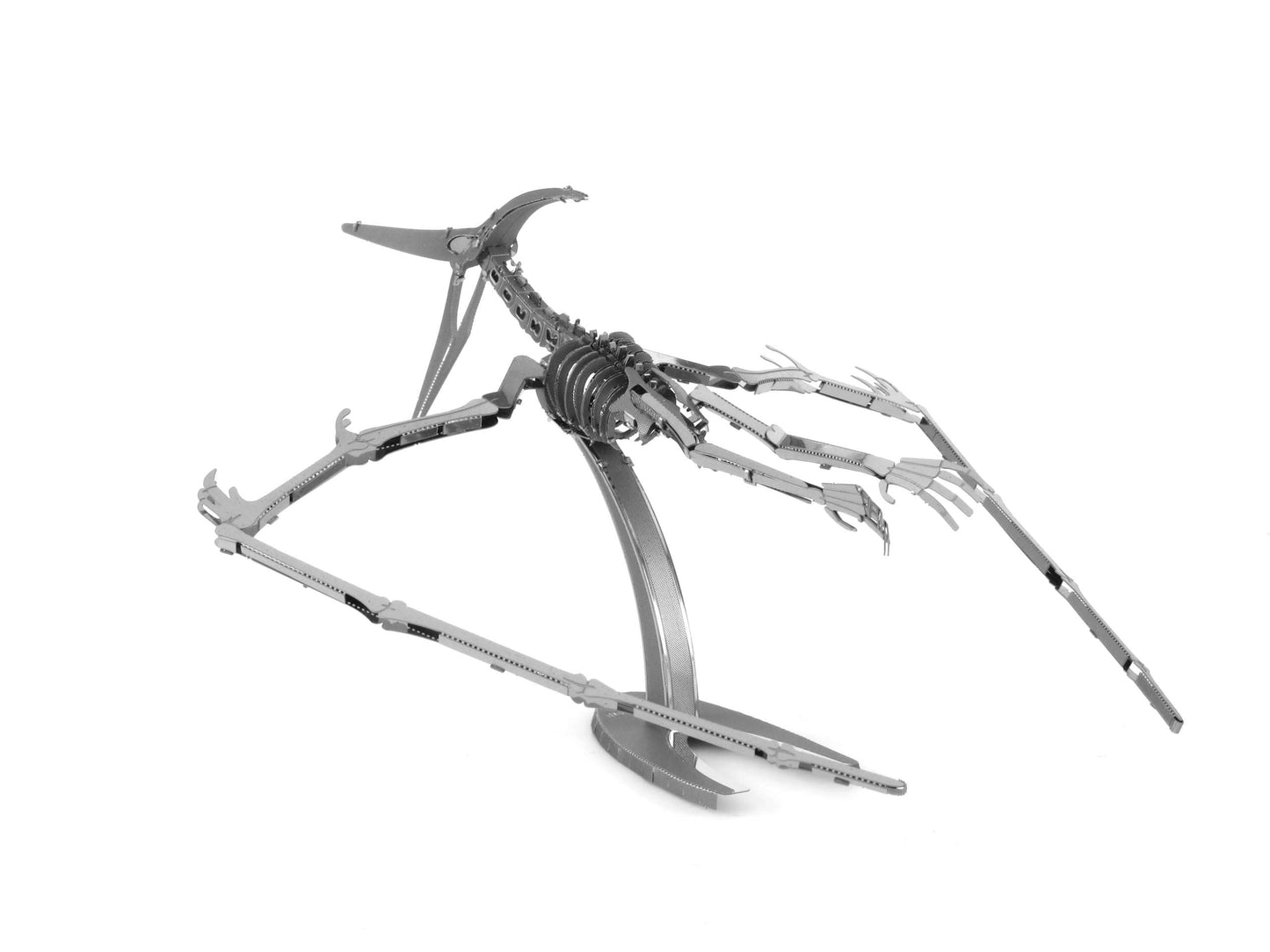 Metal Earth Pteranodon Skeleton 3D Metal Model Kit Fascinations