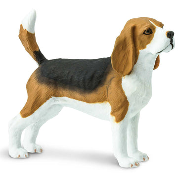 Safari Ltd. Beagle Figurine - Detailed 2.5" Plastic Model Figure - Fun Educational Play Toy for Boys, Girls & Kids Ages 3+