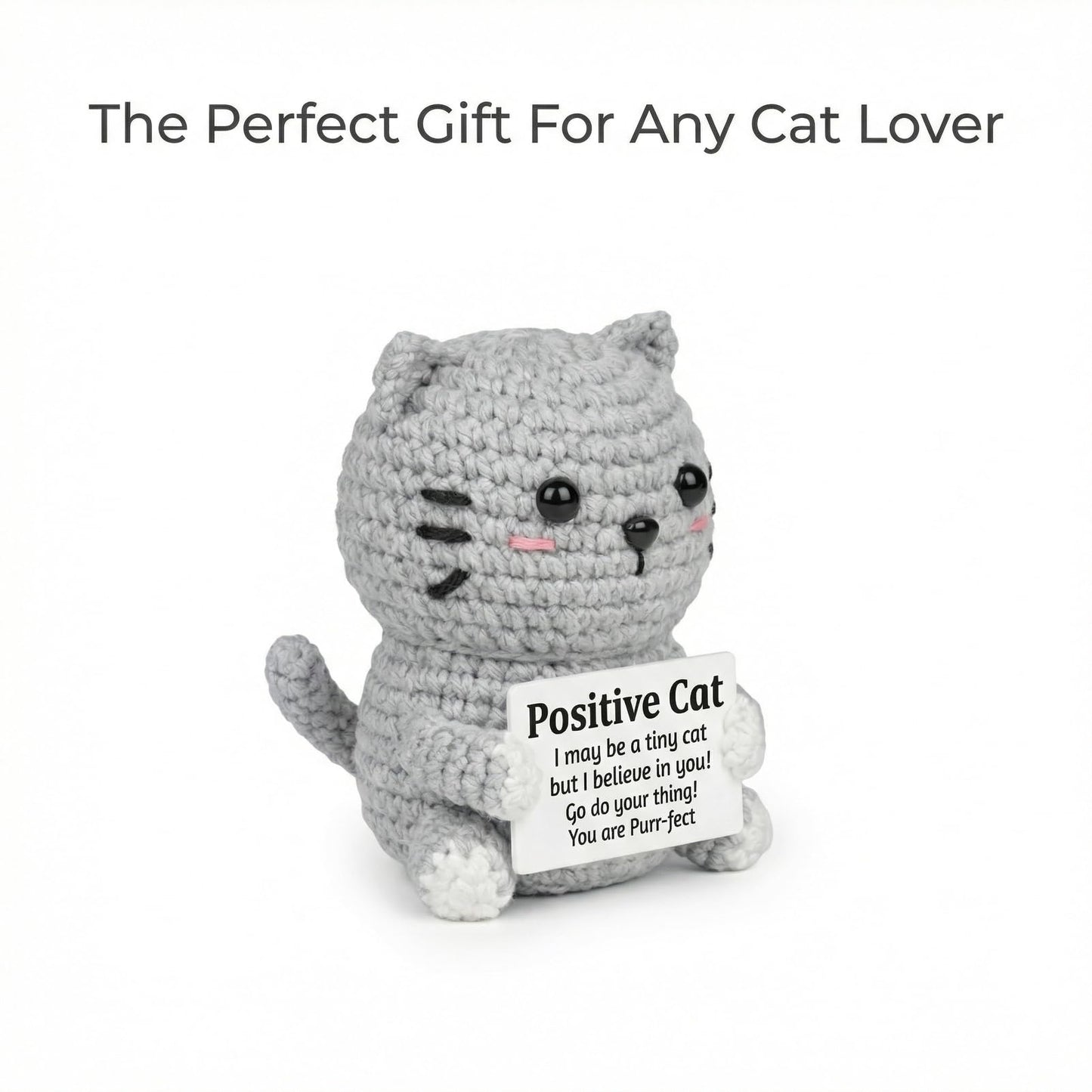 ZZOZPOP Positive Cat Plush with Encouraging Sign, Crochet Gift of Support for Women, Uplifting Sister Friendship Present, Gray Message Holder Toy