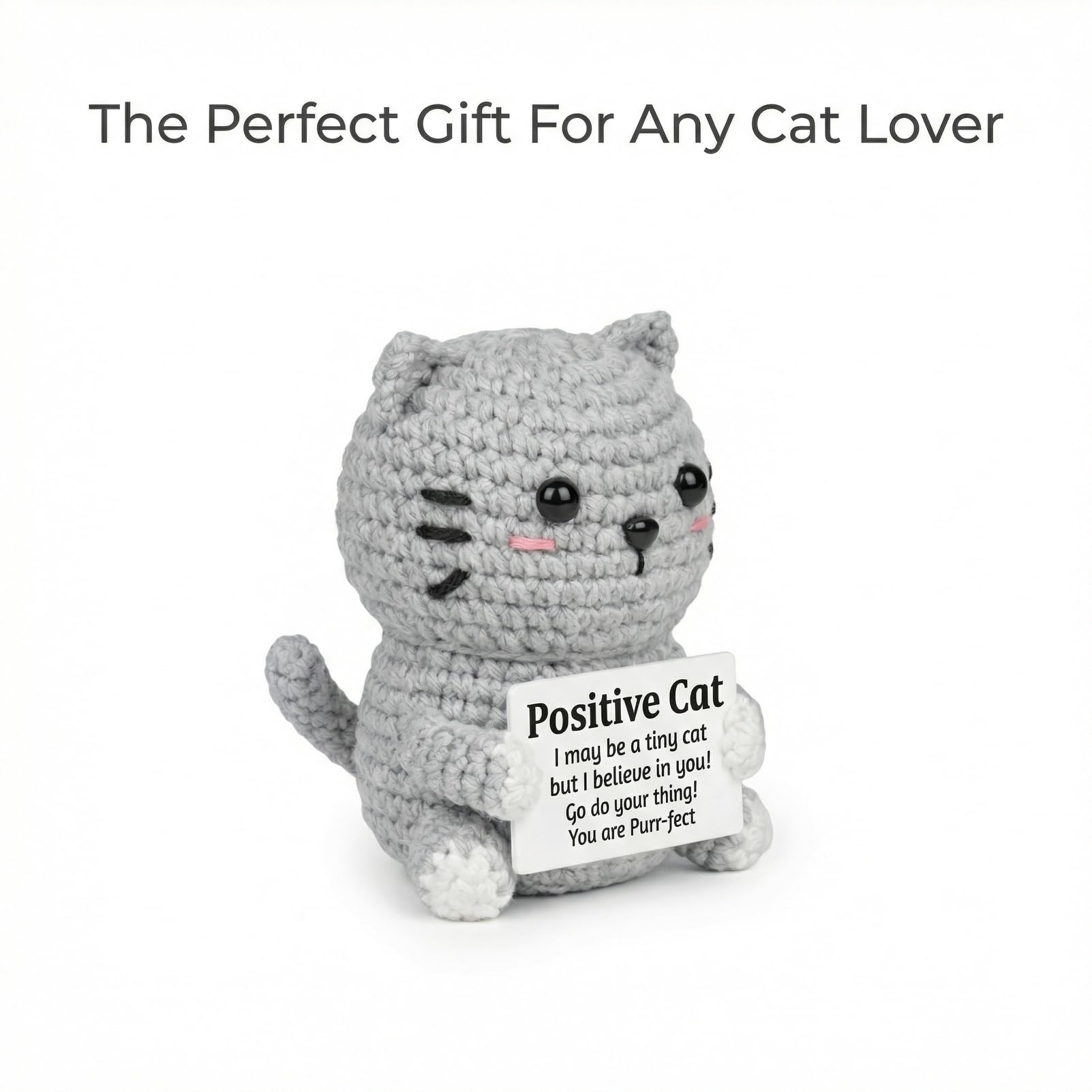 ZZOZPOP Positive Cat Plush with Encouraging Sign, Crochet Gift of Support for Women, Uplifting Sister Friendship Present, Gray Message Holder Toy