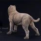 Lana Toys 1:6 Scale Neopolitan Mastiff Dog Figure Realistic Neapolitan Mastiff Animal Model
