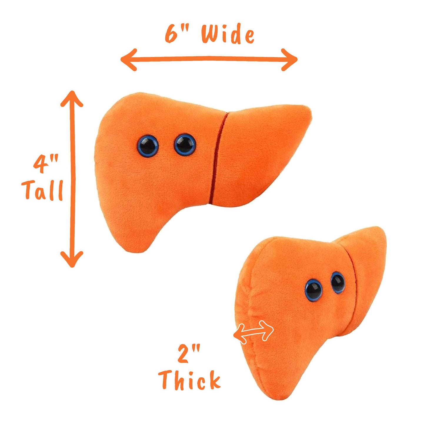 GIANT MICROBES Stuffed Liver Plush, Anatomy Model, Hepatologist Gift, Liver Transplant Gifts, Hepatitis, Hepatology, Cirrhosis Gift, Organ Donor
