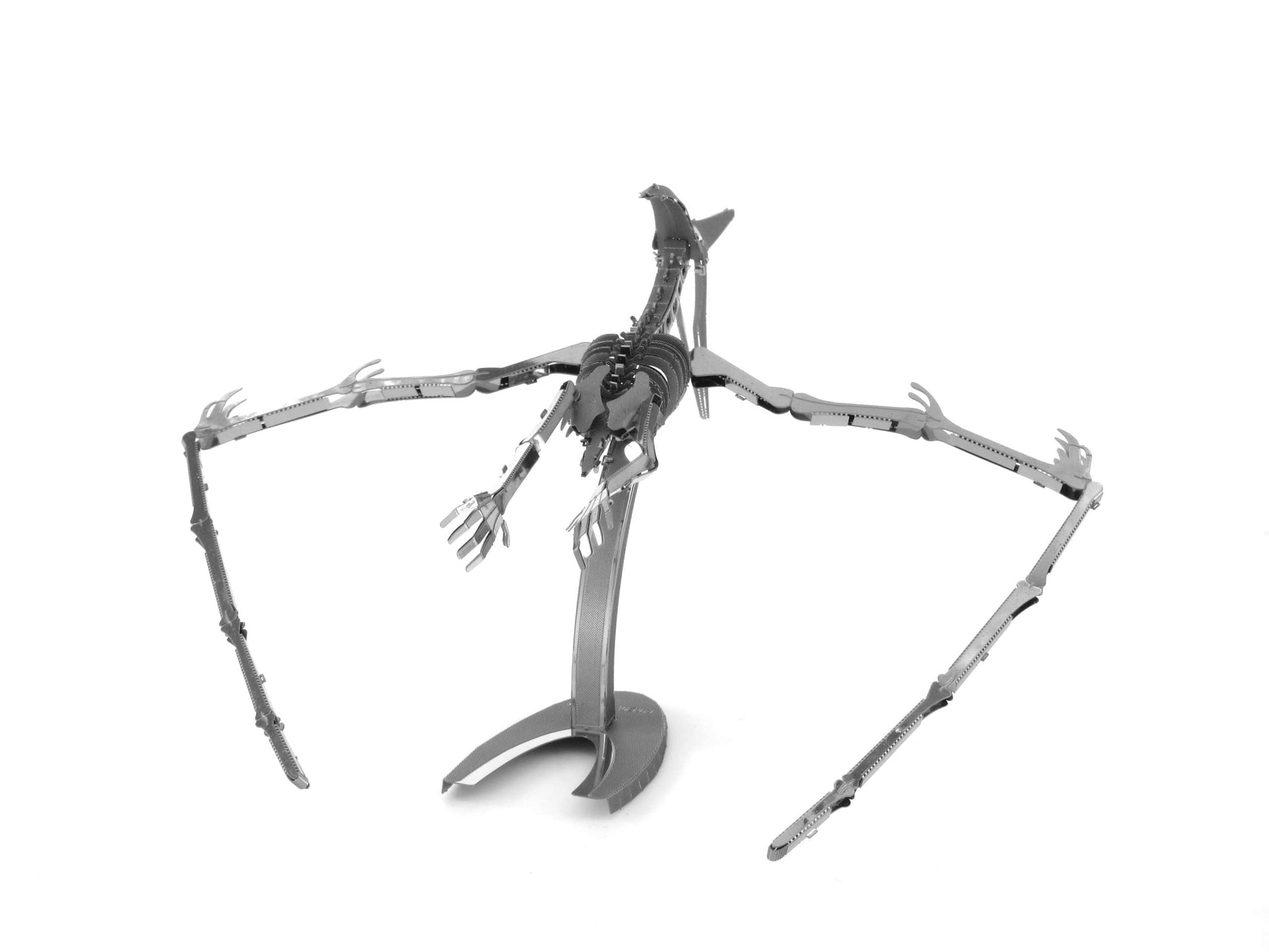 Metal Earth Pteranodon Skeleton 3D Metal Model Kit Fascinations