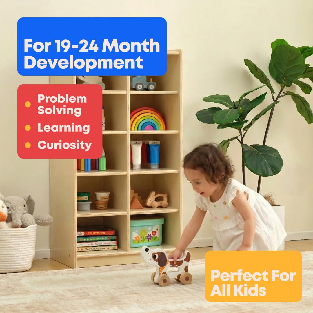 Baby Academy Montessori Play Box - 19-24 Month Toddlers Montessori Wooden Educational Toys - Learning Toys for 2 Year Olds - TK753 Activity Kit & 2nd