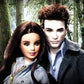 Barbie Collector Twilight Saga Edward Doll