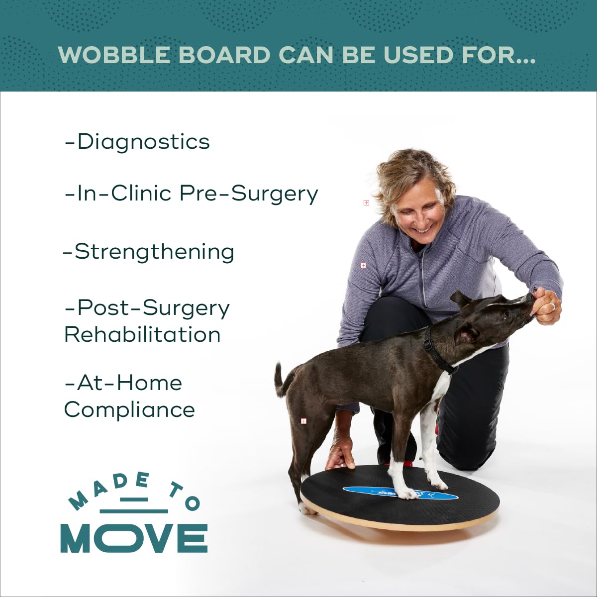 FitPaws® 20" Wobble Board, Dog Balance Training, Rehab + Exercise Equipment