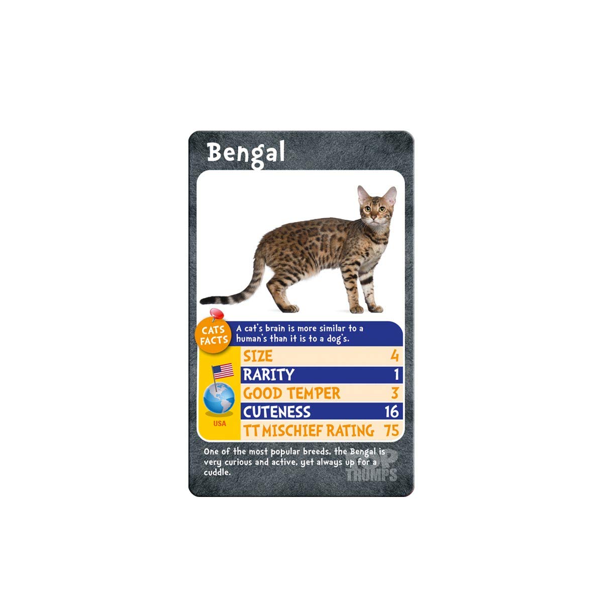 Top Trumps Card Game Cats - Family Games for Kids and Adults - Learning Games - Kids Card Games for 2 Players and More - Kid War Games - Card Wars
