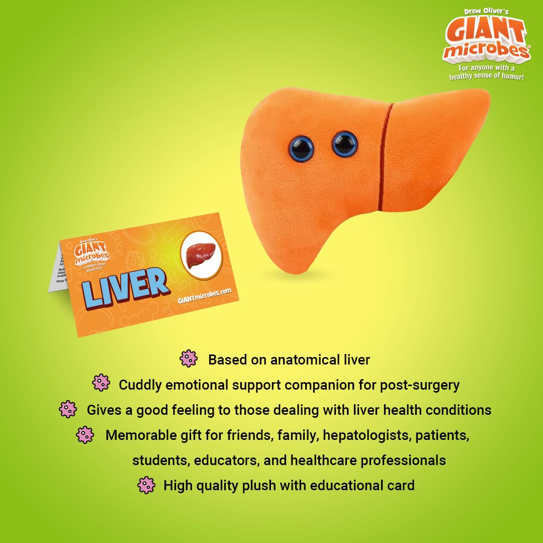 GIANT MICROBES Stuffed Liver Plush, Anatomy Model, Hepatologist Gift, Liver Transplant Gifts, Hepatitis, Hepatology, Cirrhosis Gift, Organ Donor