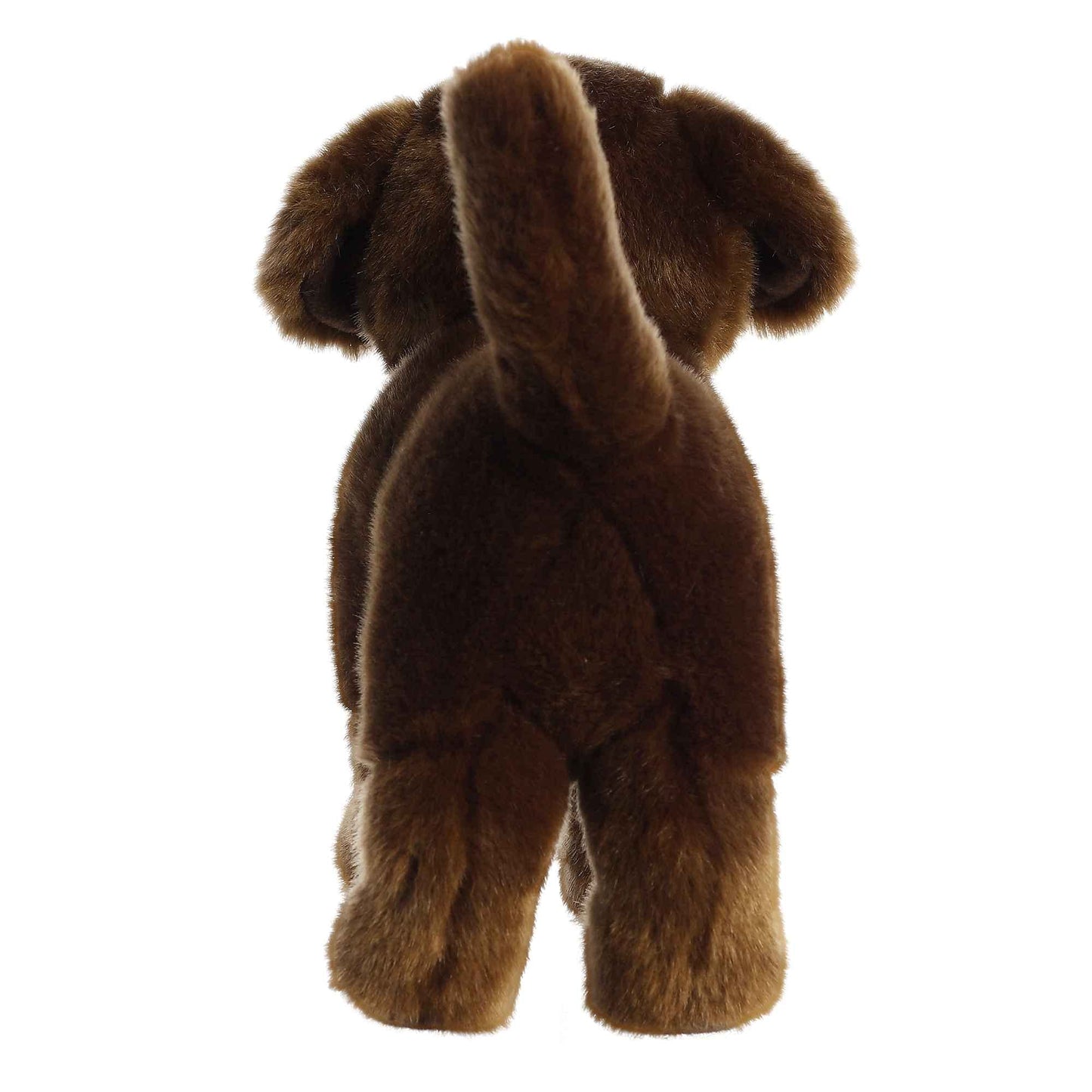 Aurora - Miyoni - 10" Chocolate Labrador