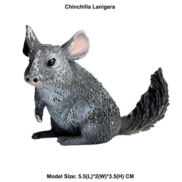 FLORMOON Realistic Animal Figures Chinchilla Lanigera Figurines, Science Project, Cake Topper, Early Educational Toys Birthday for Toddlers Kids Age 3